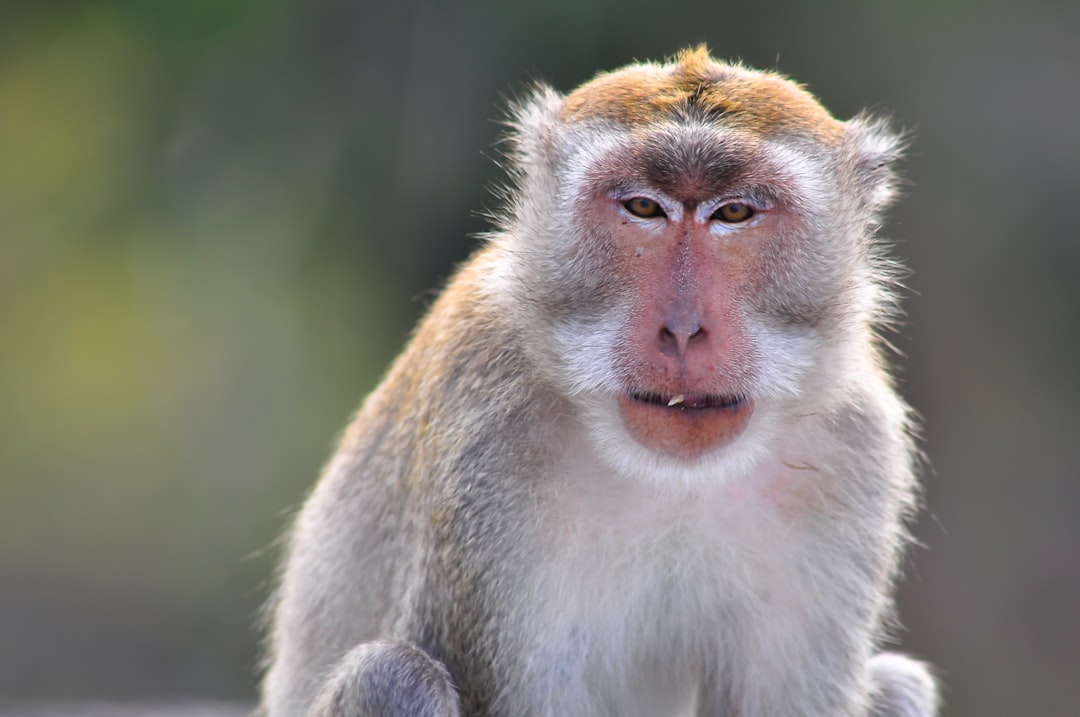 Hidden Gems in Southeast Asia